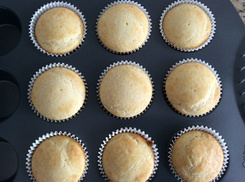 Vanilla Cake Bakes
