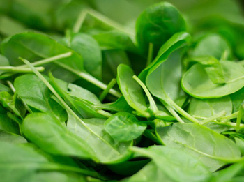 Organic Baby Spinach