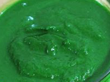 Spinach Puree