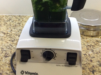 Blend Blanched Palak