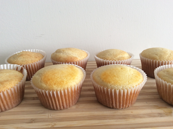 Spongy Vanilla Cupcake