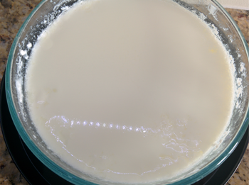 Yogurt Curd