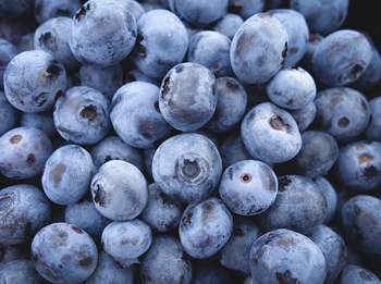 Fresh Blueberries
