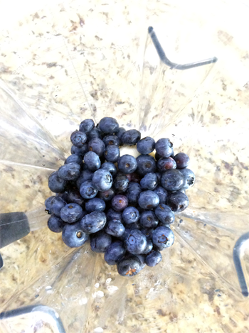 Blueberry Yogurt Smoothie