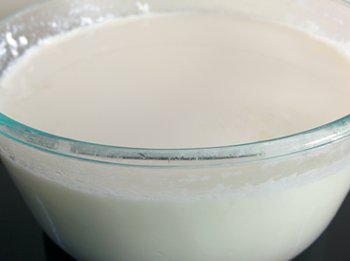 Curd