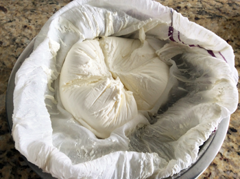 Open Hanging Curd Cloth