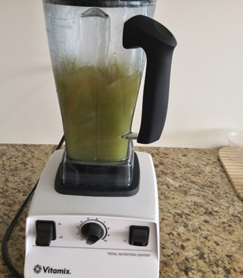Vitamix Blend Soup